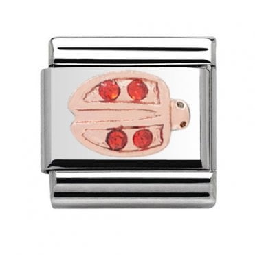 Ladybird Rose Silver Charm