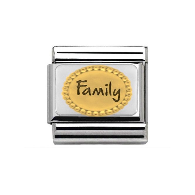 Charmlinks Oval Family Gold Silver Charm