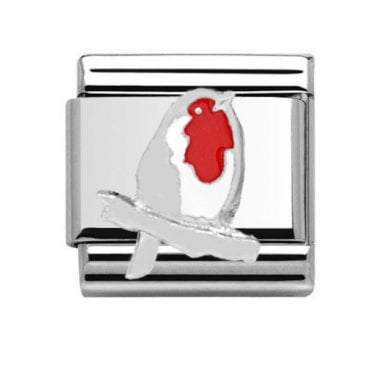 Robin Silver Silver Charm