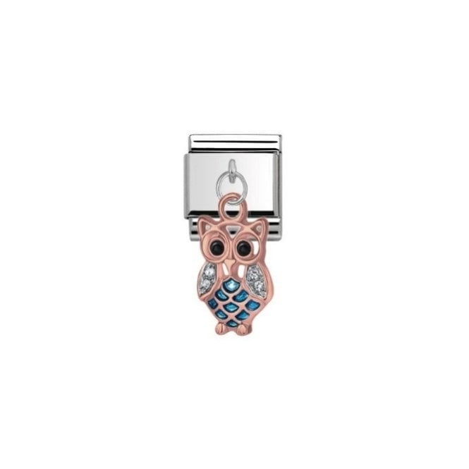 Charmlinks Rose Silver Coloured Owl Drop Charm