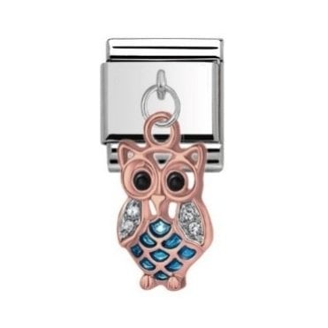 Rose Silver Coloured Owl Drop Charm