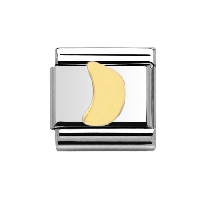 Charmlinks Silver with Gold Moon Charm