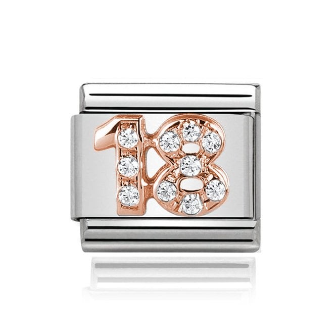 Charmlinks Silver with Rose 18 Stone Set Charm