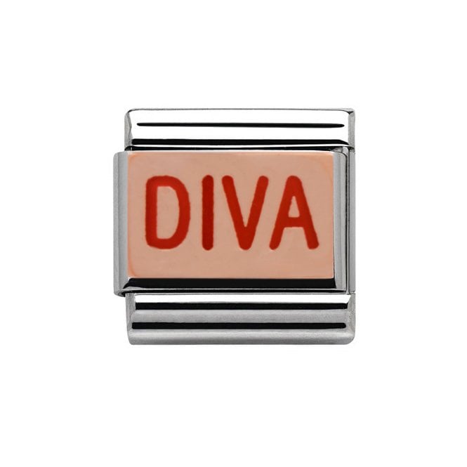 Charmlinks Silver with Rose DIVA Charm