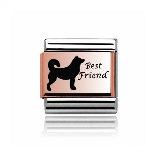 Charmlinks Silver with Rose Dog Best Friend Charm