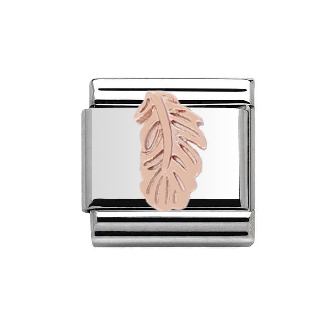 Charmlinks Silver with Rose Feather Charm