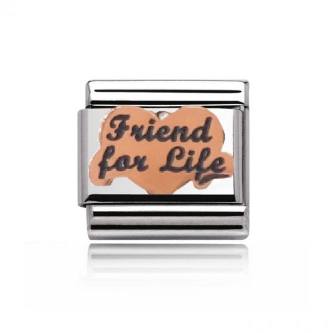 Charmlinks Silver with Rose Friends for Life Charm
