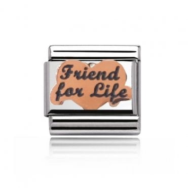 Silver with Rose Friends for Life Charm