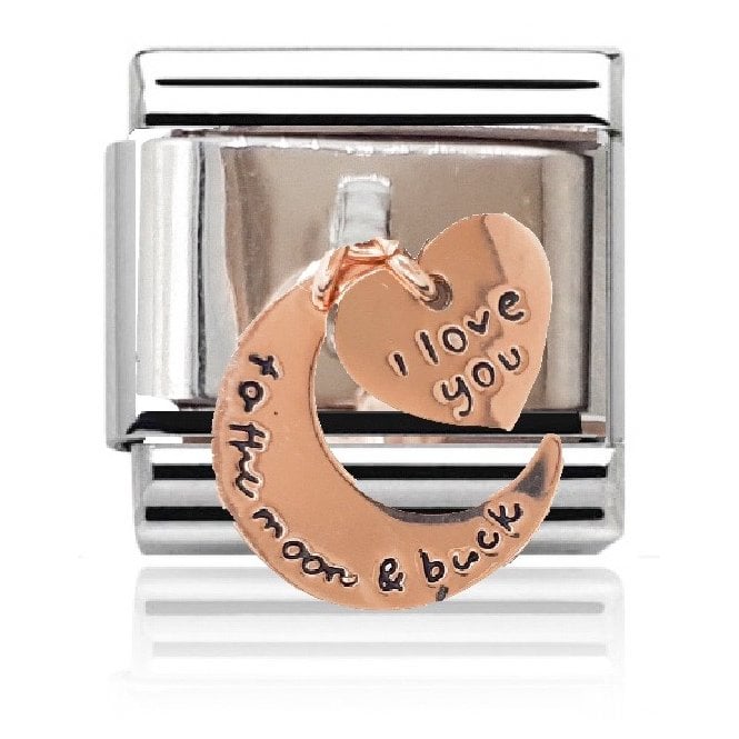 Charmlinks Silver with Rose Heart and Moon Drop Charm