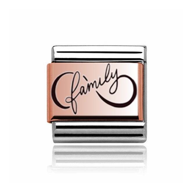 Charmlinks Silver with Rose Infinity Family Charm
