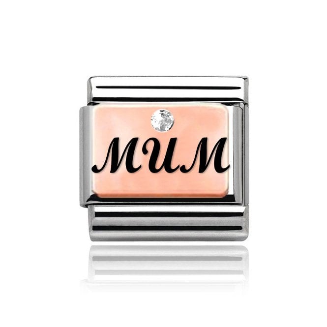 Charmlinks Silver with Rose Mum Stone Set Charm