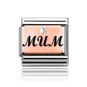 Silver with Rose Mum Stone Set Charm