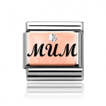 Silver with Rose Mum Stone Set Charm
