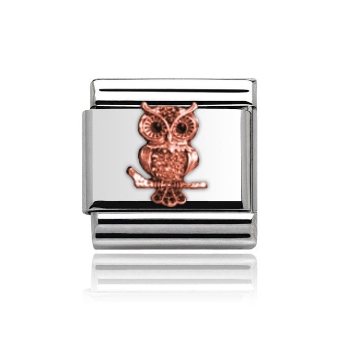 Charmlinks Silver with Rose Owl Charm