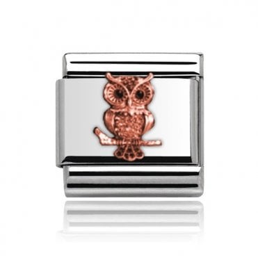 Silver with Rose Owl Charm