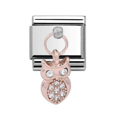 Silver with Rose Owl Stone Set Drop Charm