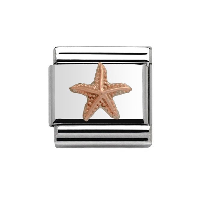 Charmlinks Silver with Rose Starfish Charm