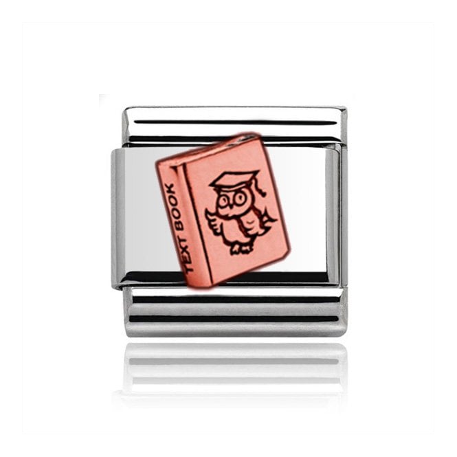 Charmlinks Silver with Rose Text Book Charm