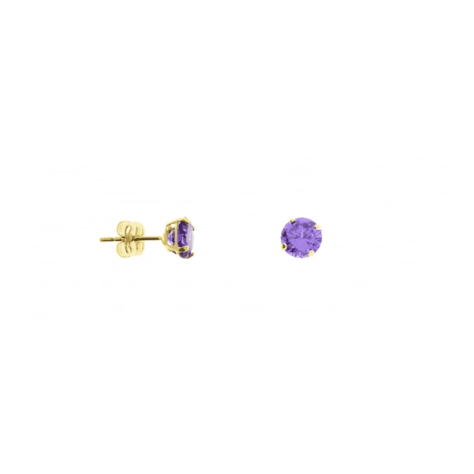Eternity 9ct Gold February Amethyst 5mm Stud Earrings