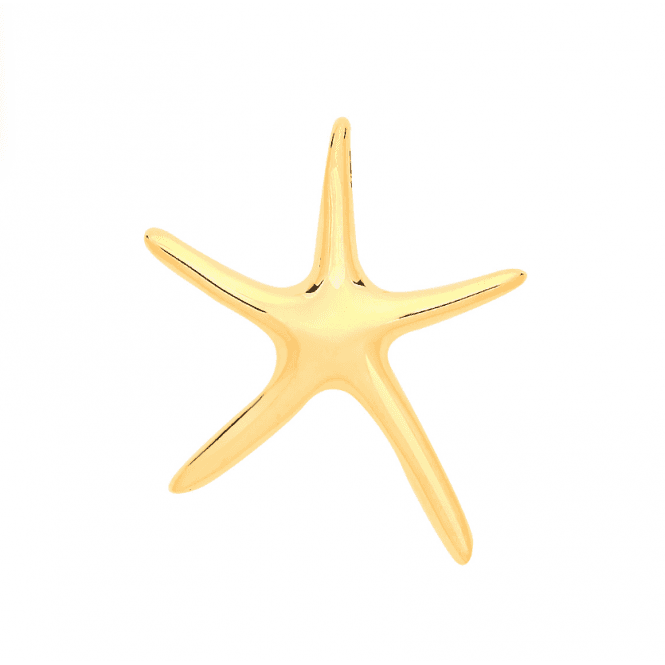 Eternity 9ct Y Starfish Pendant & Chain