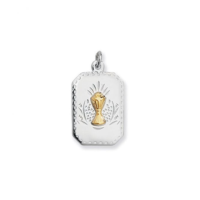 Eternity Silver Rect 2Col Communion Cup Necklace