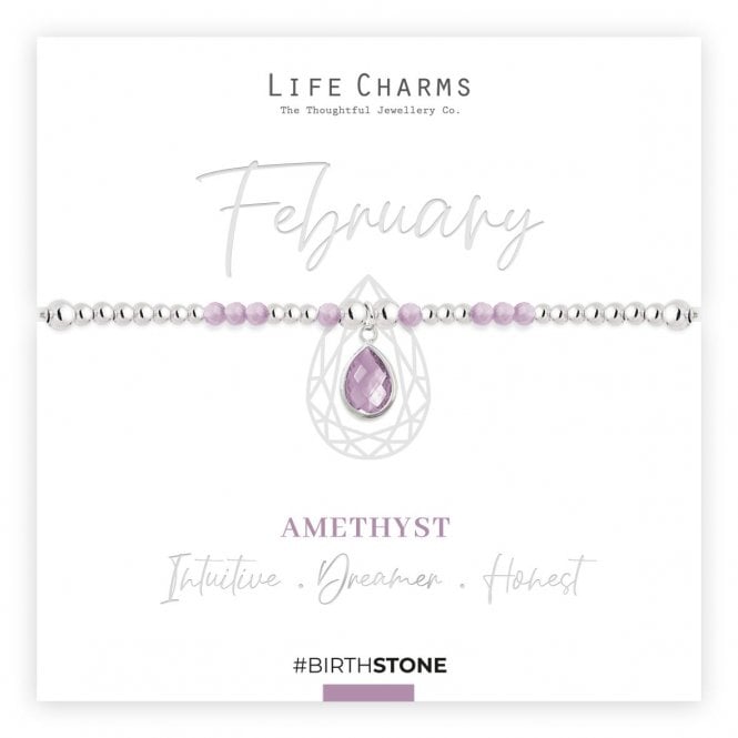 Life Charms February Birthstone Bracelet