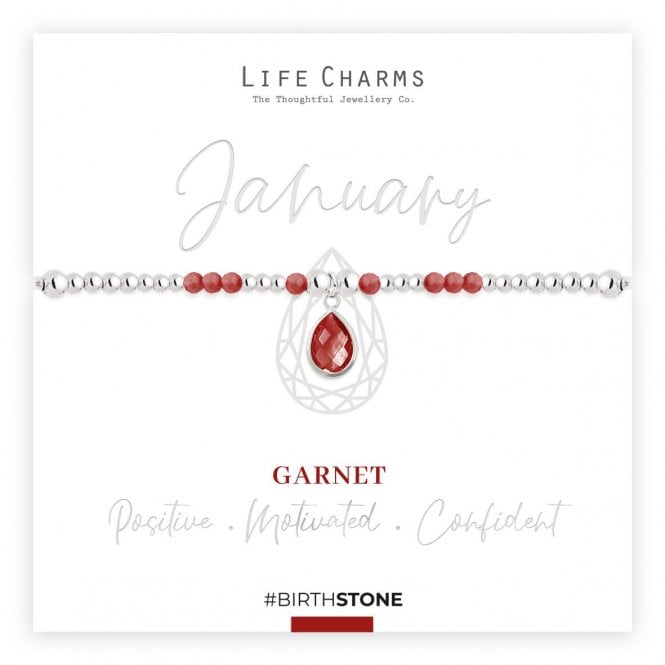 Life Charms January Birthstone Bracelet